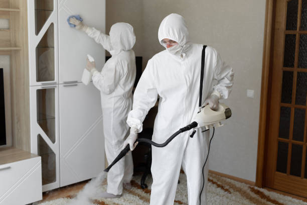 Why You Should Choose Our Mold Remediation Services in Machesney Park, IL